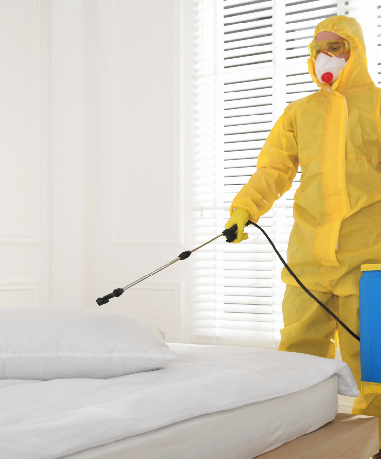 Professional Pest Control Team in Henley Beach